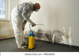  Elgin, IL Mold Prevention & Removal Pros